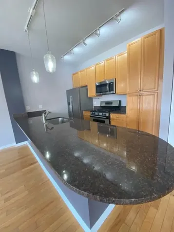 807 West 14th Place Chicago IL 60608
