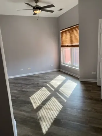 807 West 14th Place Chicago IL 60608