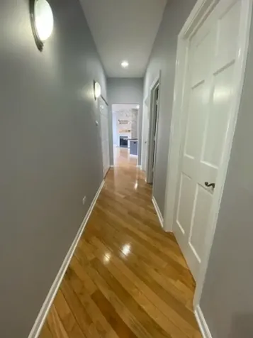 807 West 14th Place Chicago IL 60608