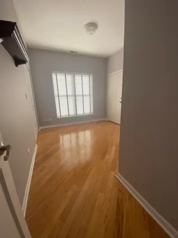 807 West 14th Place Chicago IL 60608