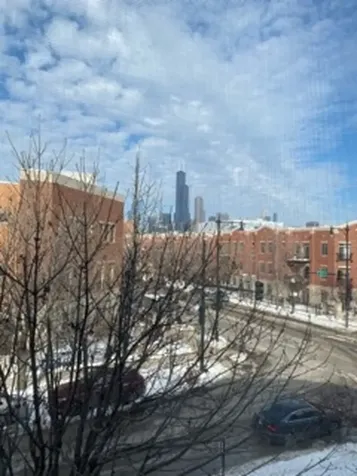 807 West 14th Place Chicago IL 60608