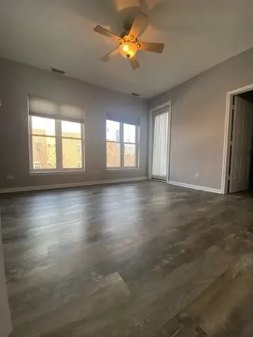 807 West 14th Place Chicago IL 60608