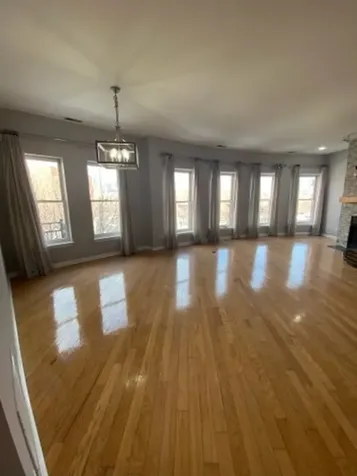 807 West 14th Place Chicago IL 60608