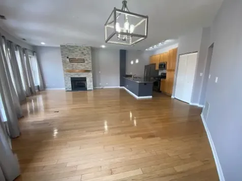 807 West 14th Place Chicago IL 60608