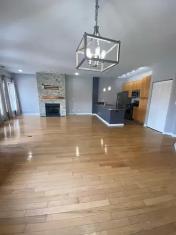 807 West 14th Place Chicago IL 60608