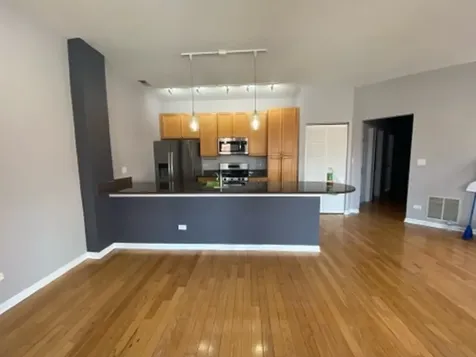 807 West 14th Place Chicago IL 60608