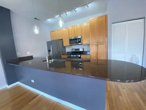807 West 14th Place Chicago IL 60608