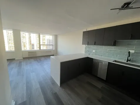 1360 North Sandburg Terrace Chicago IL 60610