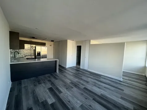 1360 North Sandburg Terrace Chicago IL 60610