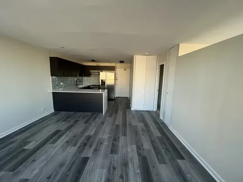 1360 North Sandburg Terrace Chicago IL 60610