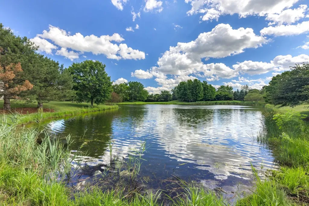 26208 West Milestone Drive Plainfield IL 60585