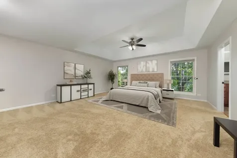 26208 West Milestone Drive Plainfield IL 60585