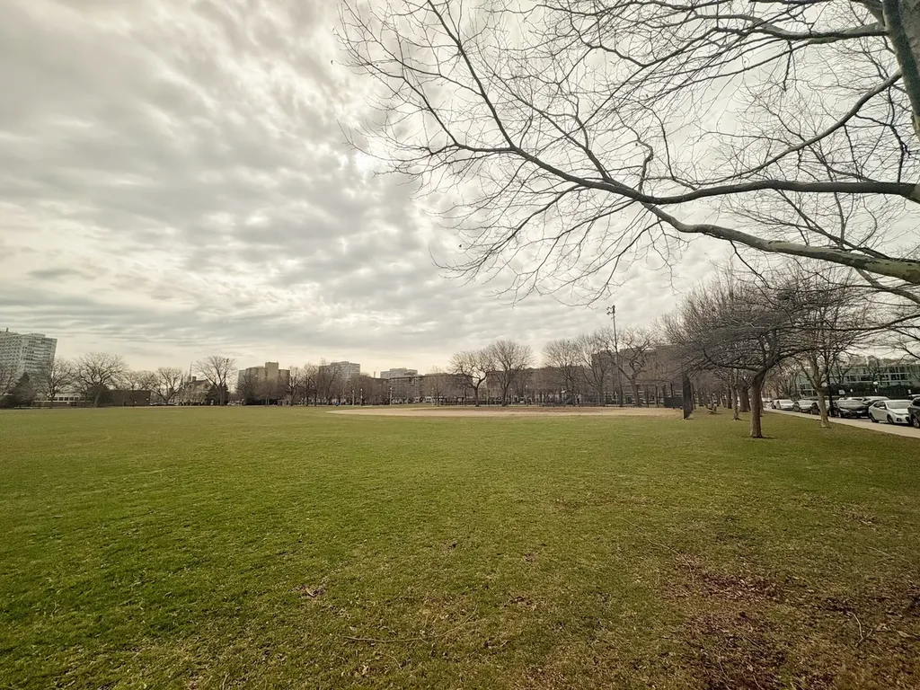 3021 South Michigan Avenue Chicago IL 60616