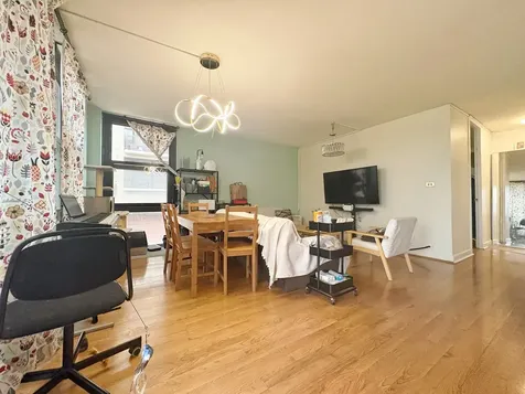 3021 South Michigan Avenue Chicago IL 60616