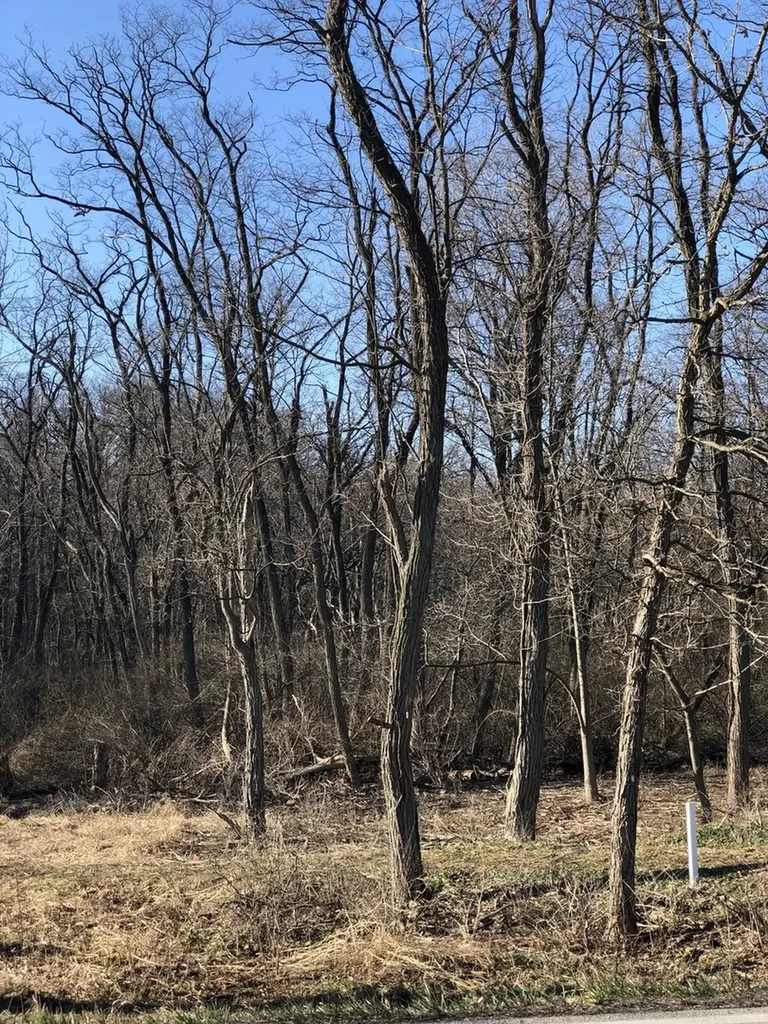 12940 Hadley #3 Hadley Road Homer Glen IL 60491