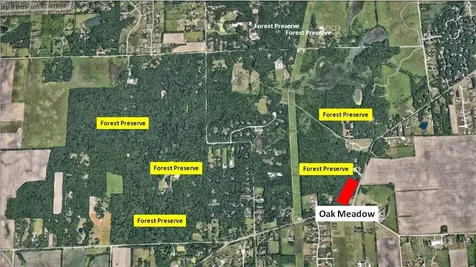 12946 Hadley #2 Hadley Road Homer Glen IL 60491