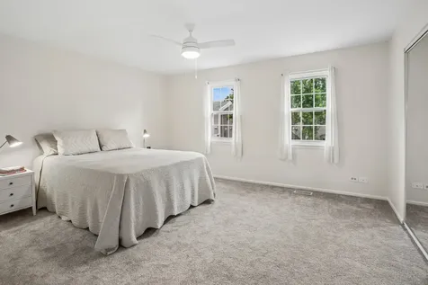 407 Chelsea Cove Roselle IL 60172