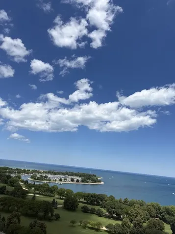 3950 North Lake Shore Drive Chicago IL 60613