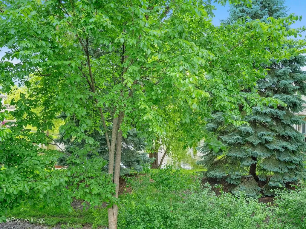 290 Loveland Drive Glendale Heights IL 60139