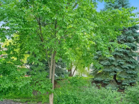 290 Loveland Drive Glendale Heights IL 60139
