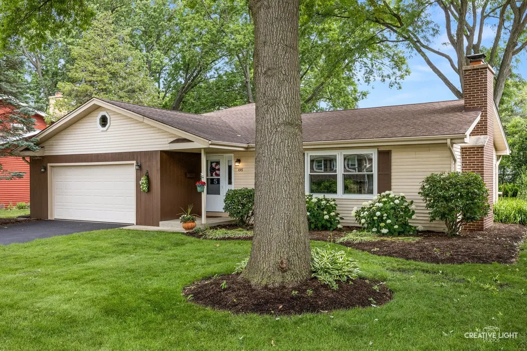 441 Tupelo Avenue Naperville IL 60540