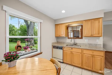 441 Tupelo Avenue Naperville IL 60540