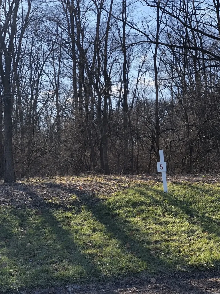 17220 Oak Meadow #5 Oak Meadow Court Homer Glen IL 60491