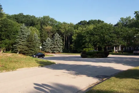 17220 Oak Meadow #5 Oak Meadow Court Homer Glen IL 60491