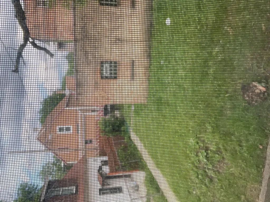 8955 South May Street S Chicago IL 60620