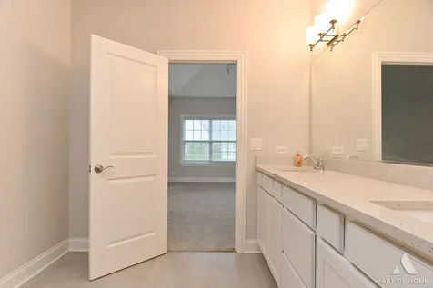 13161 Eliza Court Lemont IL 60439