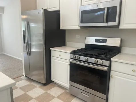 2393 Madiera Court Buffalo Grove IL 60089