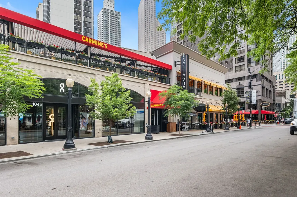 50 East Bellevue Place Chicago IL 60611