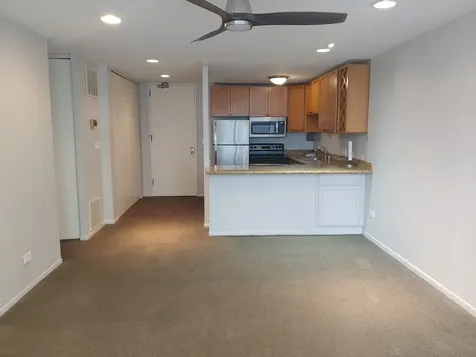 233 East Erie Street Chicago IL 60611
