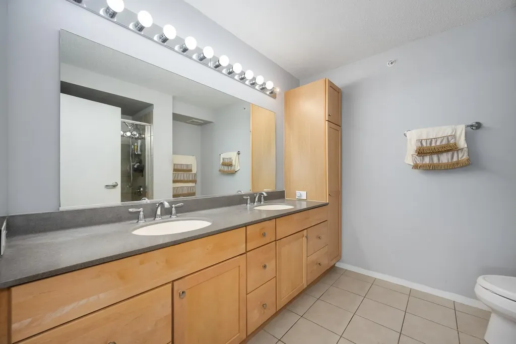 9715 Woods Drive Skokie IL 60077