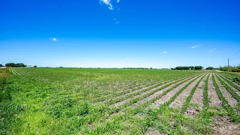 0000 North West Mcgirr Rd. And Hinckley Road Hinckley IL 60520