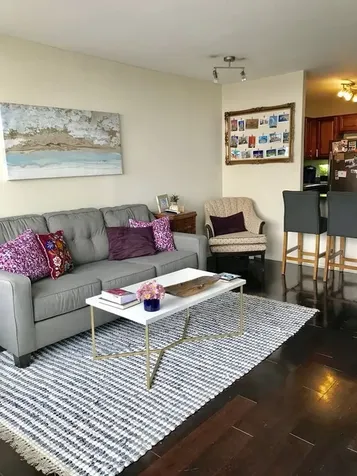 1355 North Sandburg Terrace Chicago IL 60610