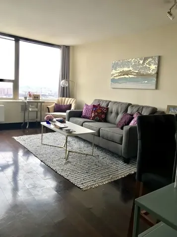 1355 North Sandburg Terrace Chicago IL 60610