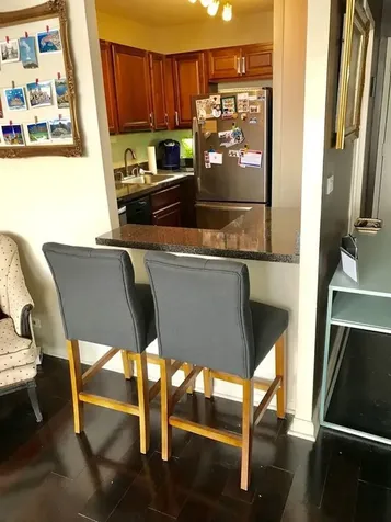 1355 North Sandburg Terrace Chicago IL 60610