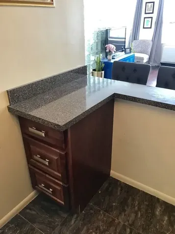 1355 North Sandburg Terrace Chicago IL 60610
