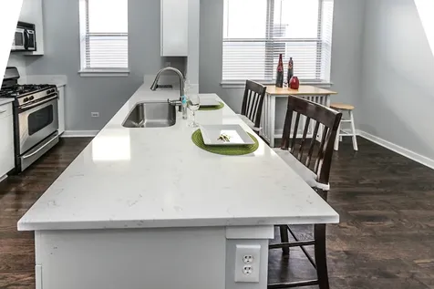 1153 West Washburne Avenue Chicago IL 60608