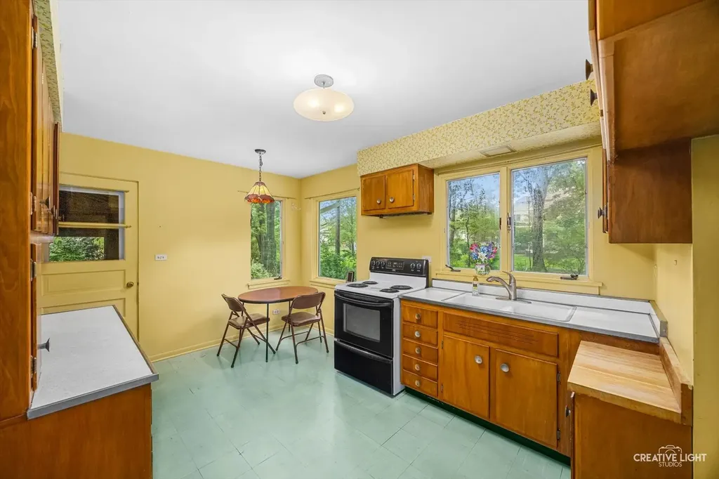 21 Golden Larch Court Naperville IL 60540