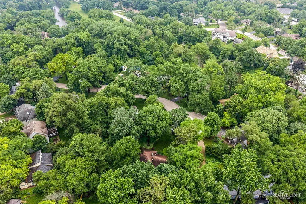 21 Golden Larch Court Naperville IL 60540