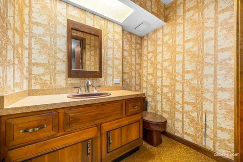 21 Golden Larch Court Naperville IL 60540