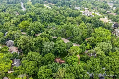 21 Golden Larch Court Naperville IL 60540