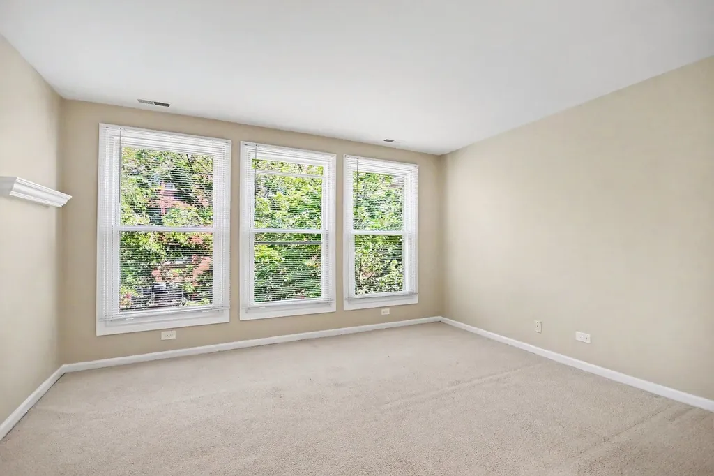 1168 South Plymouth Court Chicago IL 60605