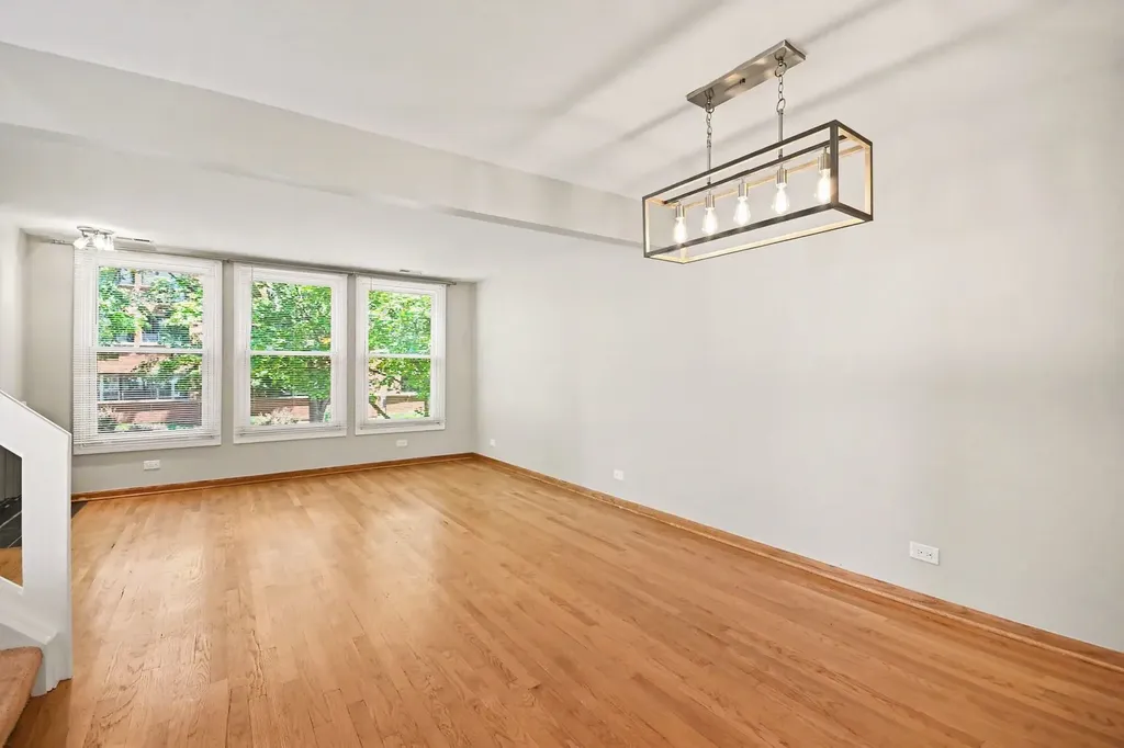 1168 South Plymouth Court Chicago IL 60605