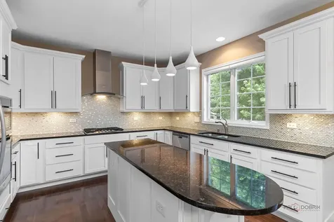 4 Joshua Court South Barrington IL 60010