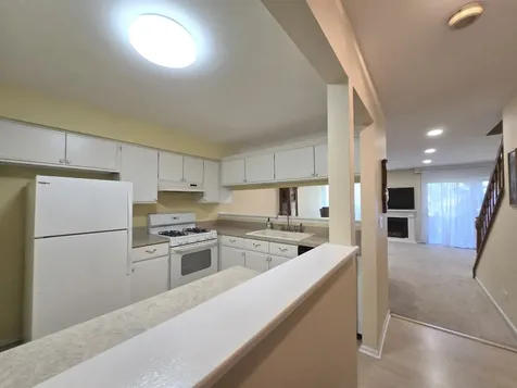 727 Shady Oaks Court Elgin IL 60120