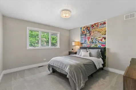 13021 West Creekside Drive Homer Glen IL 60491