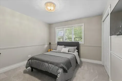 13021 West Creekside Drive Homer Glen IL 60491